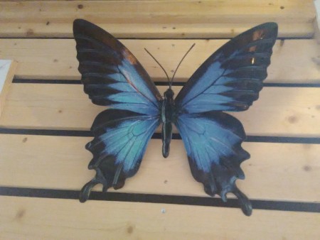 Blå/sort sommerfugl