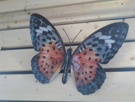 Vakker sommerfugl i sort/oransje
